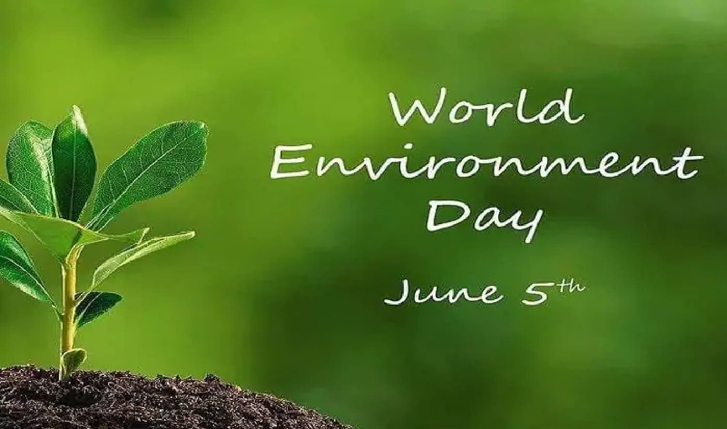 World Environmental Day, FBRA, Waste recycling
