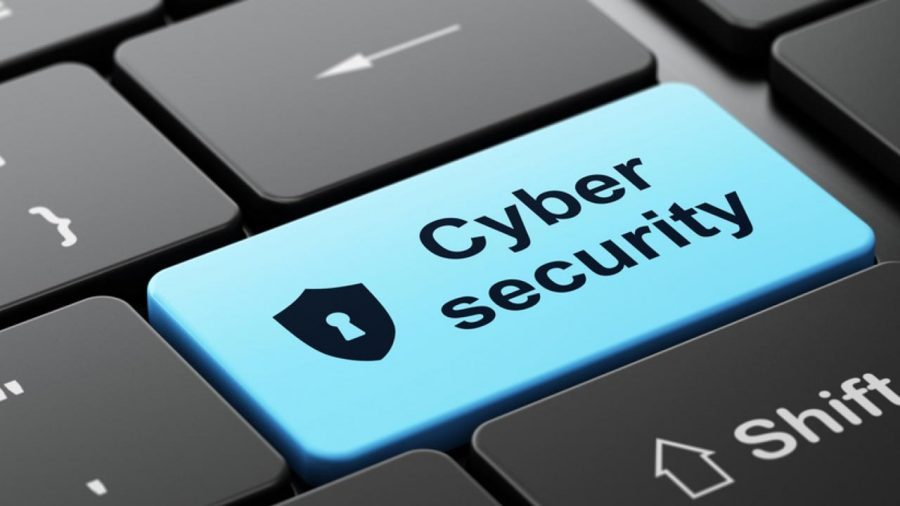 Cybersecurity Survey 2021