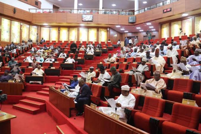 Senate probes Italian firm over local content violation in $10bn gas project