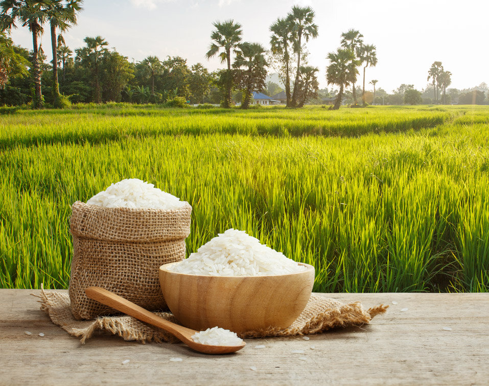 Rice Production