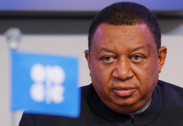 Russia-Ukraine: OPEC cries out as oil market turns volatile