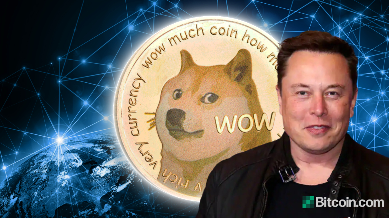 Elon Musk dampens rally in Shiba Inu to boost rival Dogecoin