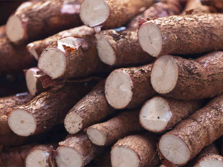 Nigeria’s new cassava policy to stem $6.1bn annual wheat importation