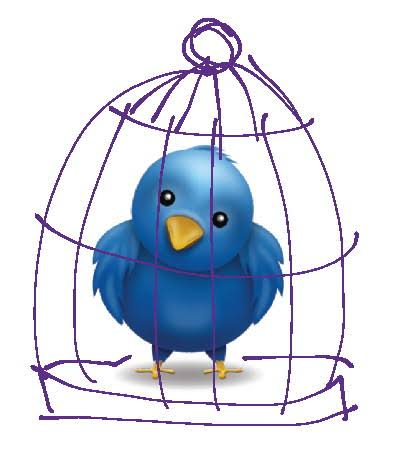 Twitter Ban: Some Key Policy and Legal Considerations for Web Platforms