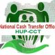 Women get 98% of $300m disbursed as national cash transfer - FG