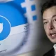 Elon Musk offers $43 billion to take over Twitter