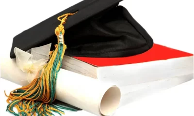 Nigerians Spend Over $220m On Foreign Education In 2022 – CBN