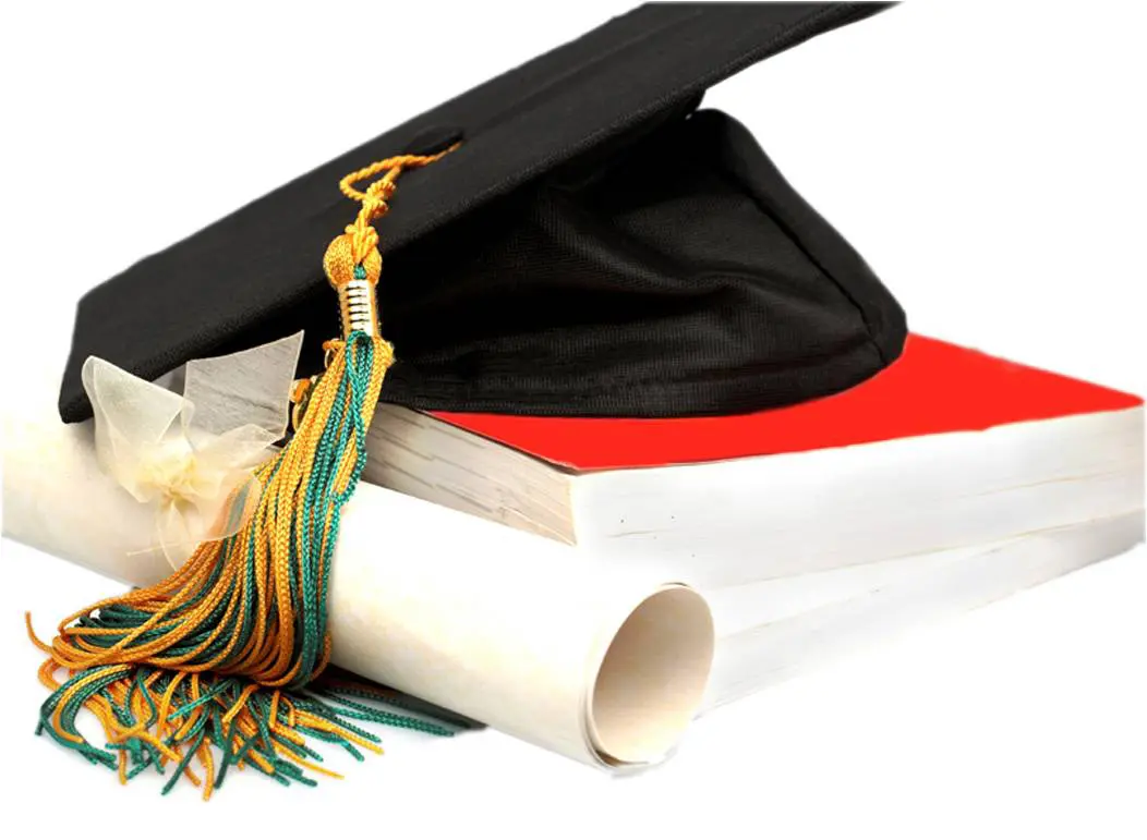 Nigerians Spend Over $220m On Foreign Education In 2022 – CBN