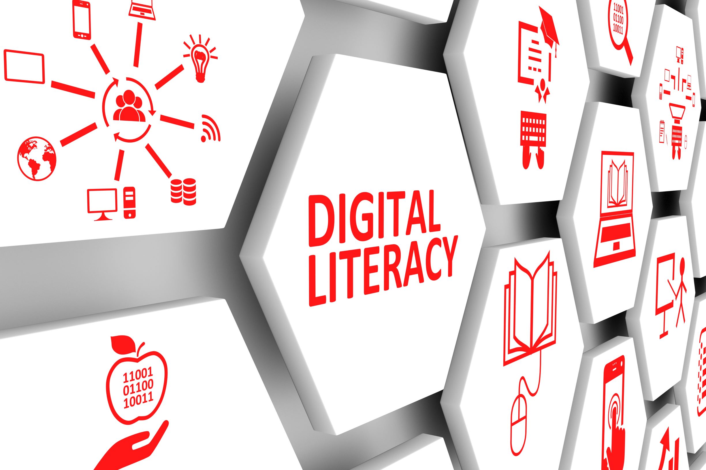 FG Upbeat on 95% Digital Literacy by 2030