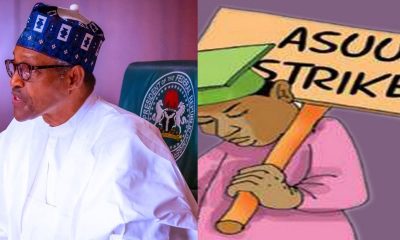 FG Drags ASUU to Court in Desperate Move to End Strike