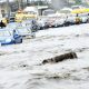 LAGOS FLOOD UPDATE