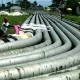 Trans Niger Pipeline