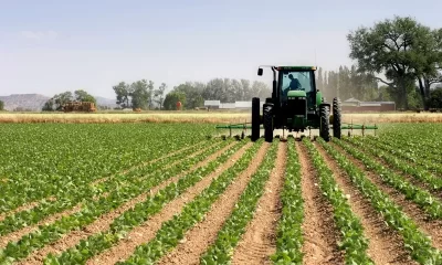 INSIGHT: Unlocking Nigeria’s Agricultural Potential