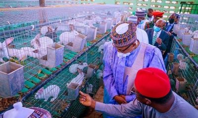 AGRIBUSINESS: FG Establishes Farm Estate in Sokoto