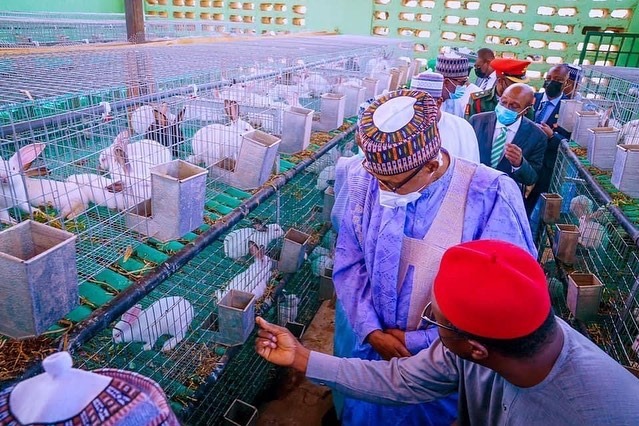 AGRIBUSINESS: FG Establishes Farm Estate in Sokoto