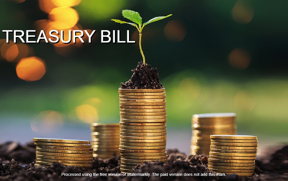 treasury Bills