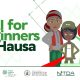 Hausa-Language AI learning Series