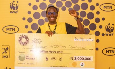 MTN Nigeria PachiPanda Challenge