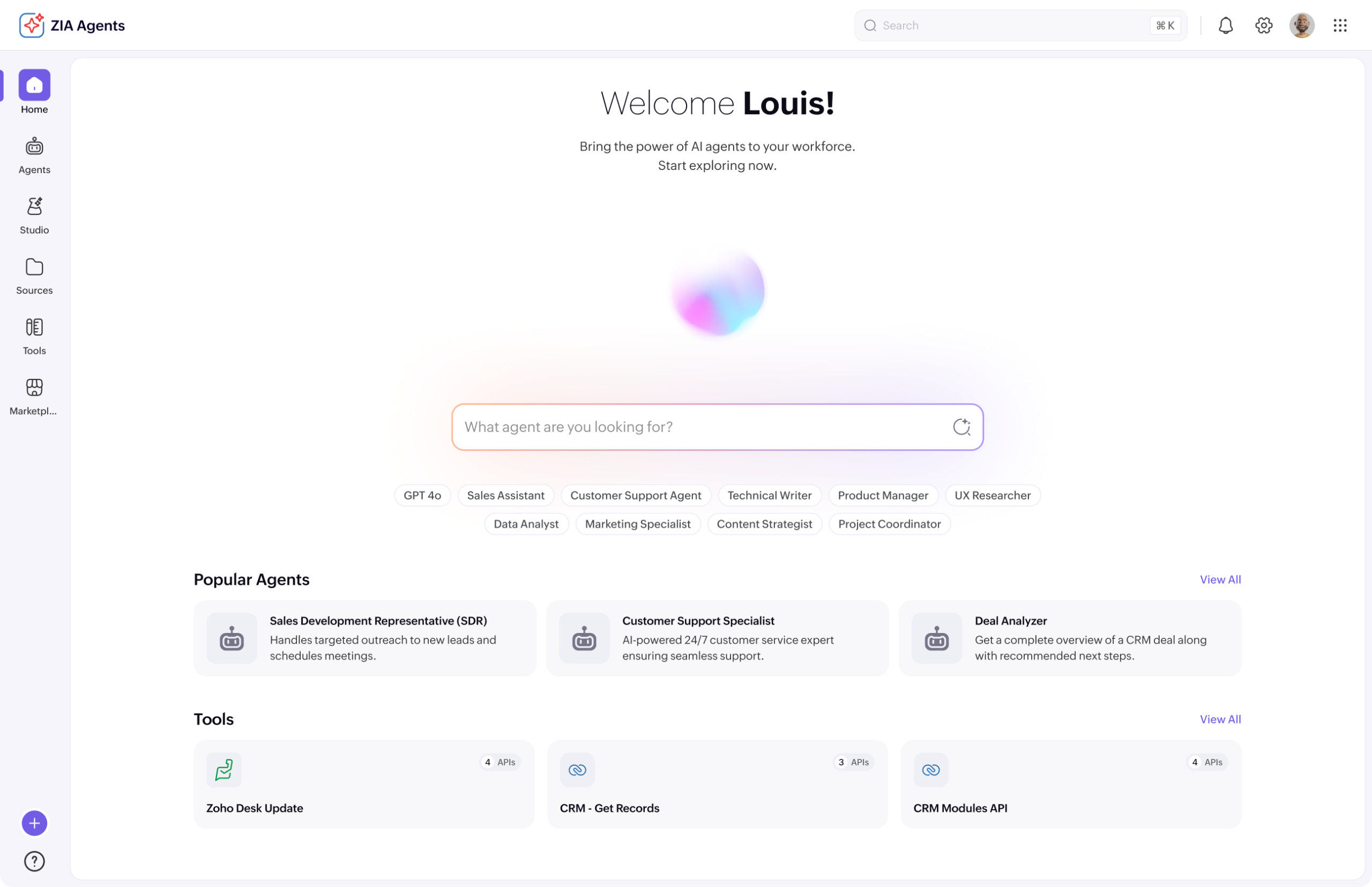 Zoho Zia LLM,