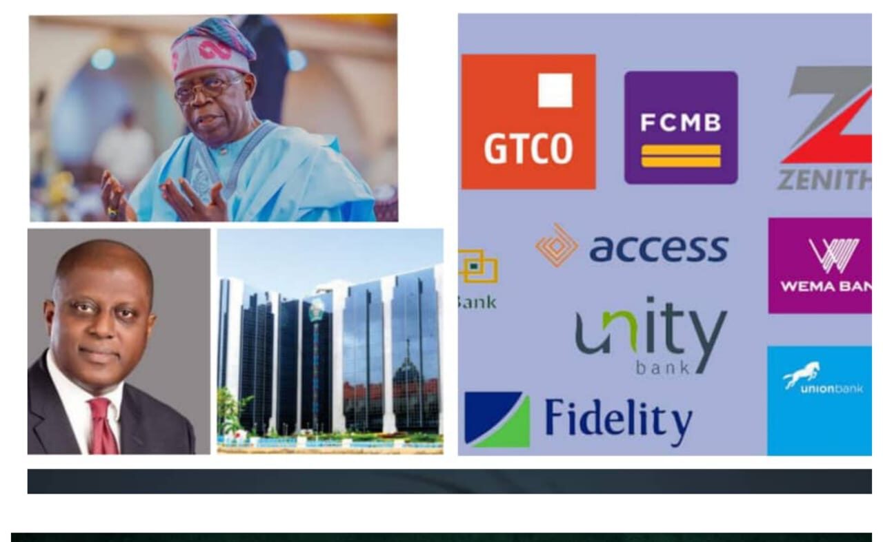 The Missing Pieces in Nigeria’s Banking Recapitalisation