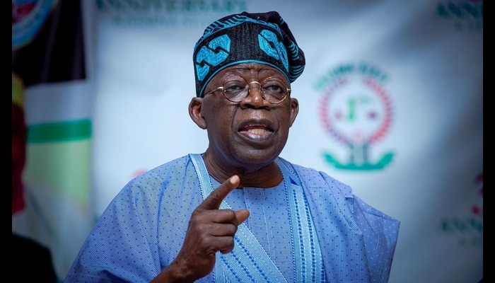 tinubu capital market value